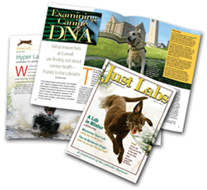 magazine_image