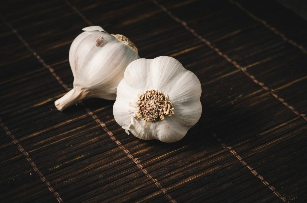 Does garlic repel fleas and ticks? Just Labs Magazine