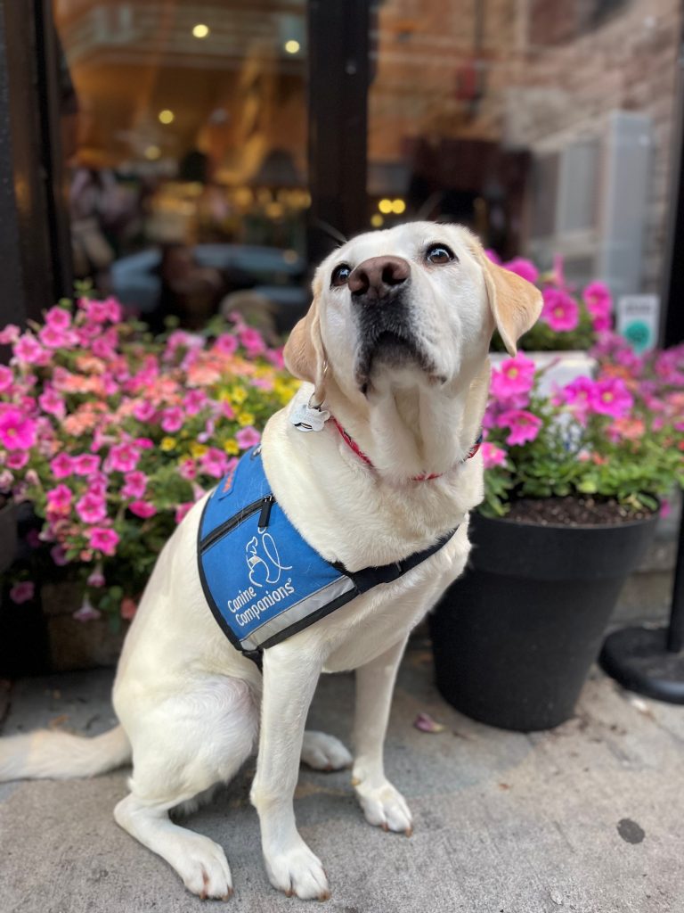 (Photo courtesy Dr. Michelle Ludwig)