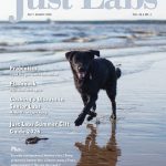 July August 2026 cover for Just Labs magazine