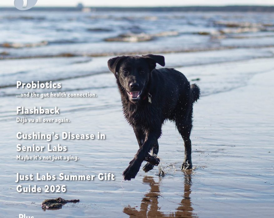 July August 2026 cover for Just Labs magazine