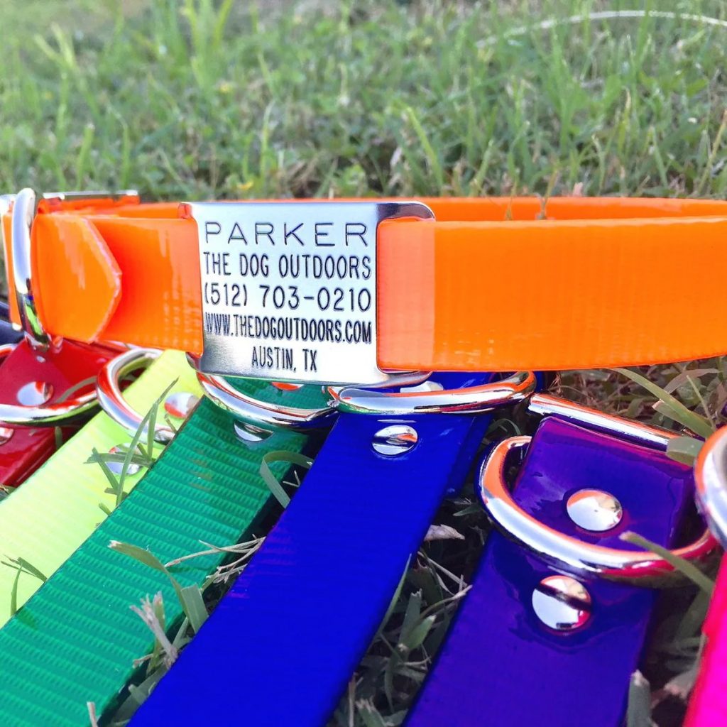 Personalized waterproof collar, 2026 Just Labs Summer Gift Guide