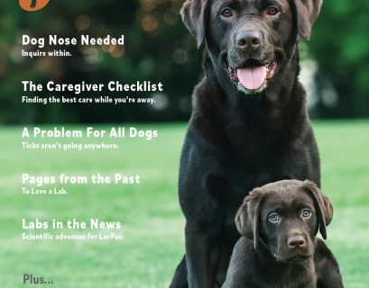 Just Labs magazine cover for September October 2026 by Diane Lewis Photography
