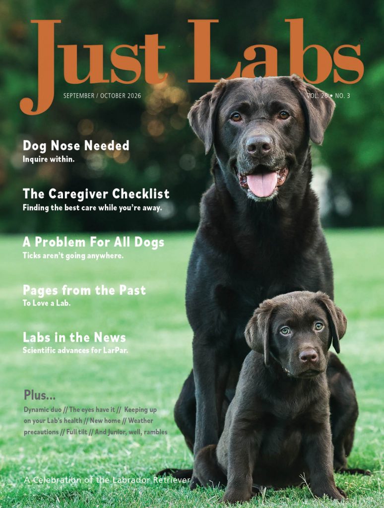 Just Labs magazine cover for September October 2026 by Diane Lewis Photography