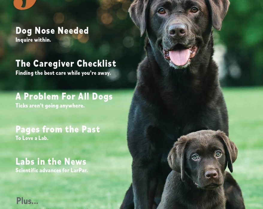 Just Labs magazine cover for September October 2026 by Diane Lewis Photography