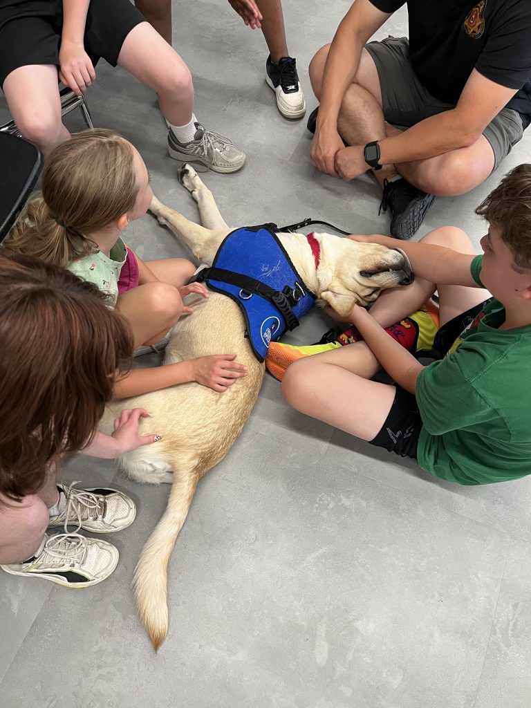 A tough day on the job. (Photo courtesy of Freedom Service Dogs)