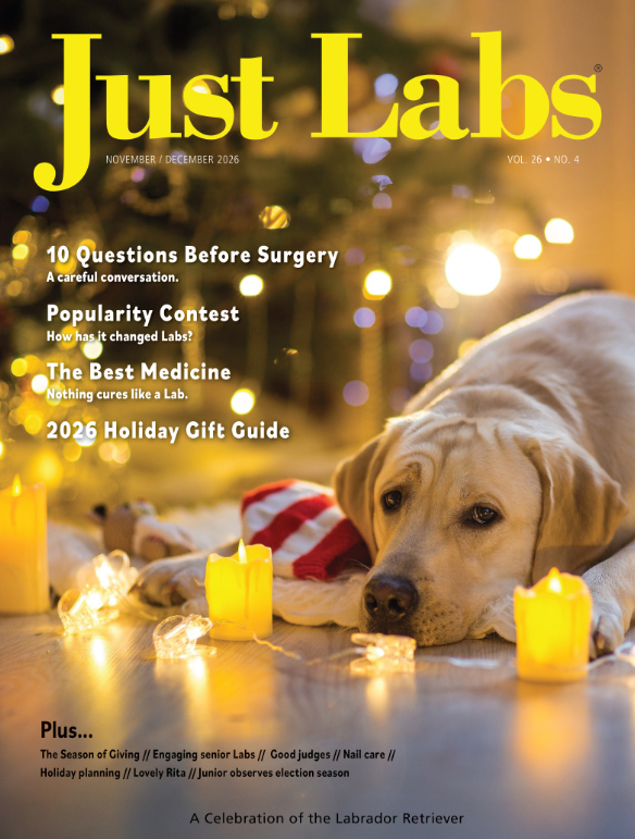 Just Labs November/December 2026 cover