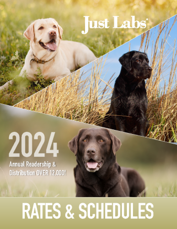 Just Labs 2024 Calendar Just Chocolate Labs 2024 12 X 12 Wall Calendar (Other) - Walmart
